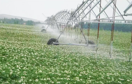 Irrigation control system